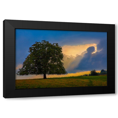Gods Rays Black Modern Wood Framed Art Print by Heine, Ben