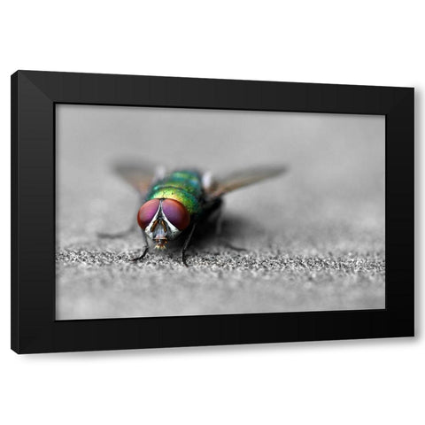 Hello Black Modern Wood Framed Art Print with Double Matting by Heine, Ben