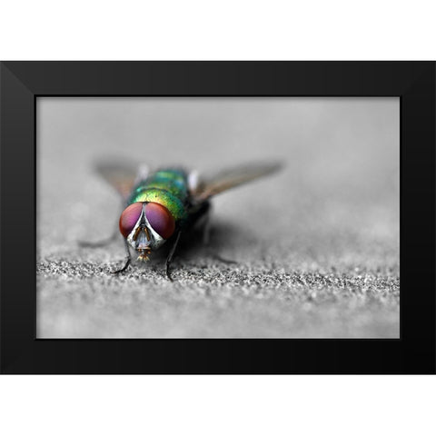 Hello Black Modern Wood Framed Art Print by Heine, Ben