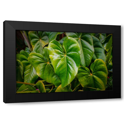 Goma 1 Black Modern Wood Framed Art Print with Double Matting by Heine, Ben