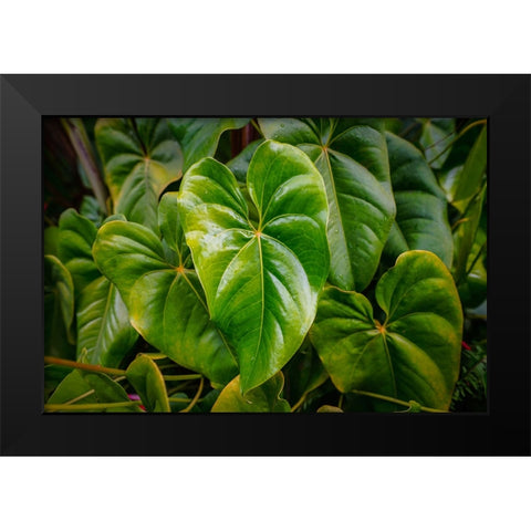 Goma 1 Black Modern Wood Framed Art Print by Heine, Ben