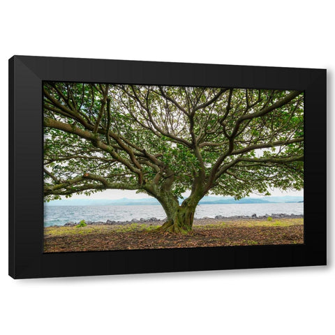 Goma 3 Black Modern Wood Framed Art Print by Heine, Ben