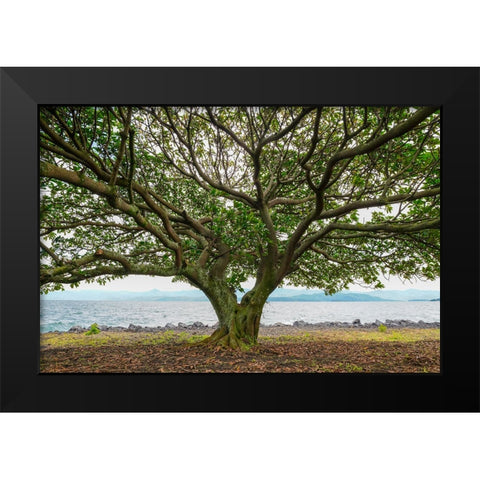 Goma 3 Black Modern Wood Framed Art Print by Heine, Ben