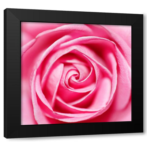 Petal by Petal Black Modern Wood Framed Art Print by Heine, Ben