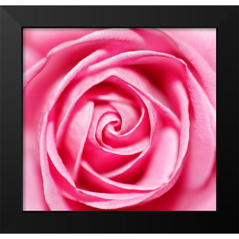 Petal by Petal Black Modern Wood Framed Art Print by Heine, Ben