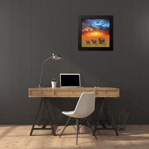 The Future is Bright Black Modern Wood Framed Art Print by Heine, Ben
