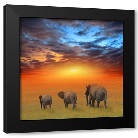 The Future is Bright Black Modern Wood Framed Art Print by Heine, Ben