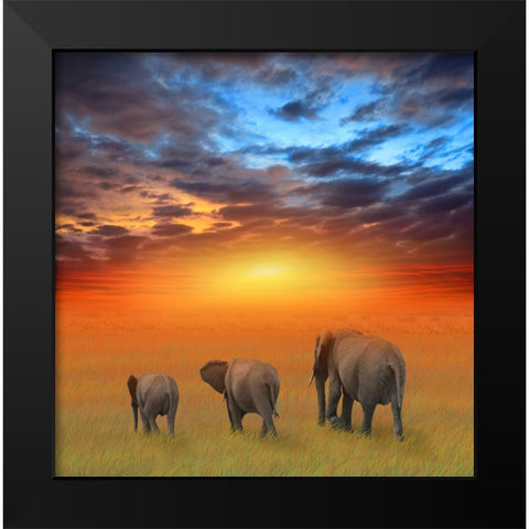 The Future is Bright Black Modern Wood Framed Art Print by Heine, Ben