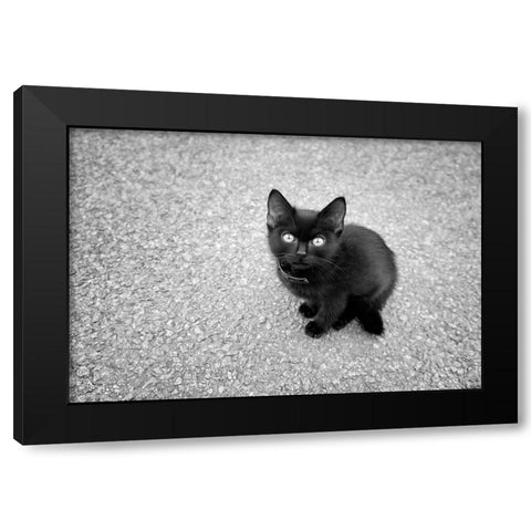 Just a Baby Black Modern Wood Framed Art Print by Heine, Ben