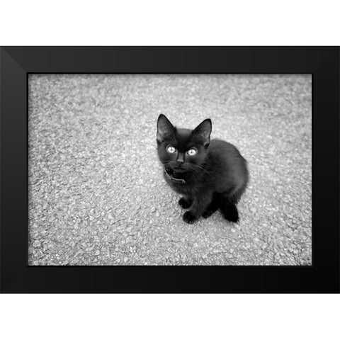 Just a Baby Black Modern Wood Framed Art Print by Heine, Ben
