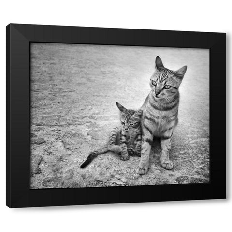 Never Leave Me Alone Black Modern Wood Framed Art Print by Heine, Ben