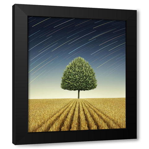 Newtons Apple Tree Black Modern Wood Framed Art Print by Heine, Ben