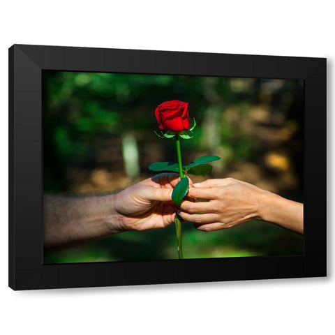 Red Union Black Modern Wood Framed Art Print with Double Matting by Heine, Ben