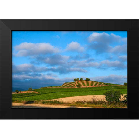 Santiago de Compostela pilgrimage - 6 Black Modern Wood Framed Art Print by Heine, Ben