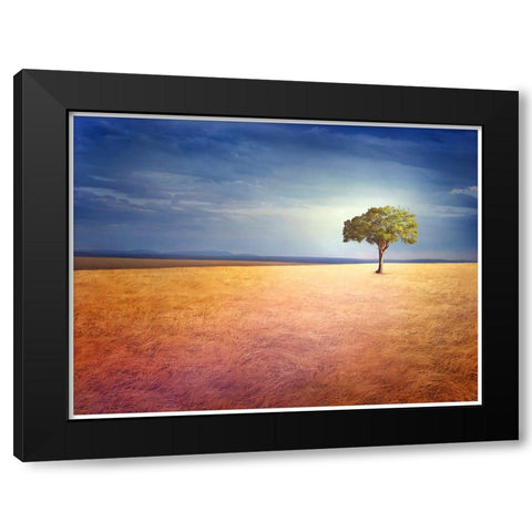 Spirit of the Earth Black Modern Wood Framed Art Print by Heine, Ben