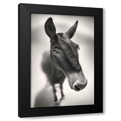 Talking to Me Black Modern Wood Framed Art Print with Double Matting by Heine, Ben