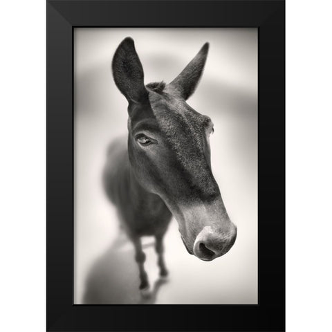 Talking to Me Black Modern Wood Framed Art Print by Heine, Ben