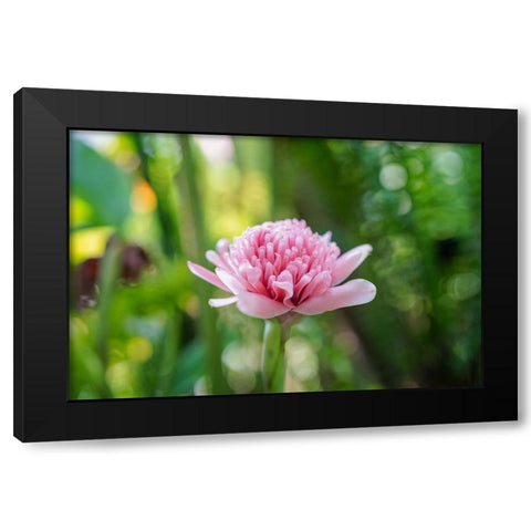 Thailand - 156 Black Modern Wood Framed Art Print by Heine, Ben