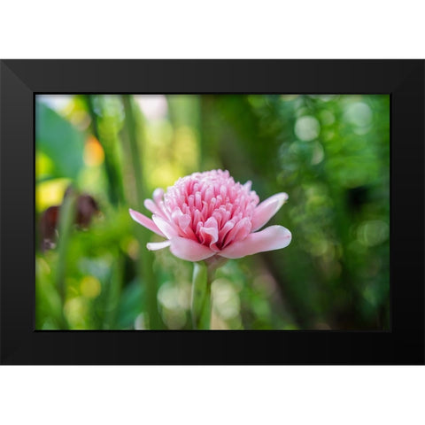 Thailand - 156 Black Modern Wood Framed Art Print by Heine, Ben