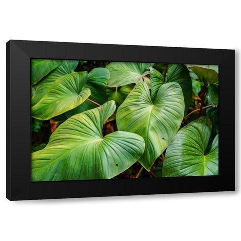 Thailand - 158 Black Modern Wood Framed Art Print by Heine, Ben