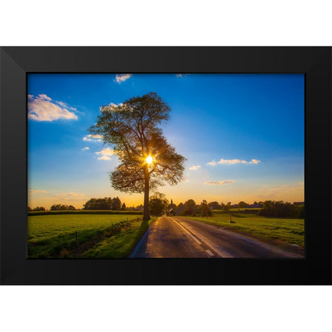 The Gift of Life Black Modern Wood Framed Art Print by Heine, Ben