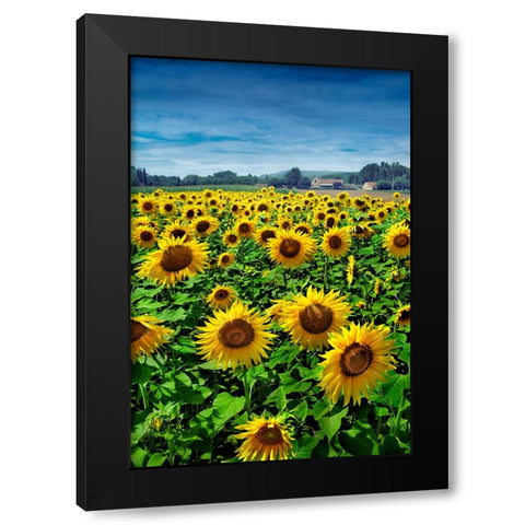 Turn your Face to the Sun Black Modern Wood Framed Art Print by Heine, Ben