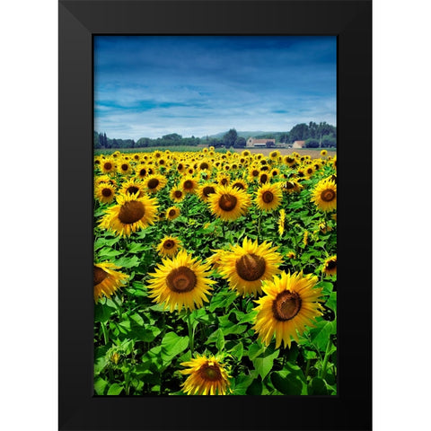 Turn your Face to the Sun Black Modern Wood Framed Art Print by Heine, Ben