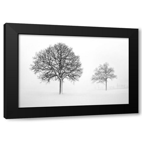 We Grow and Die Together Black Modern Wood Framed Art Print by Heine, Ben