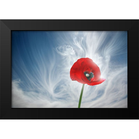 8 You Drive Me Crazy Black Modern Wood Framed Art Print by Heine, Ben