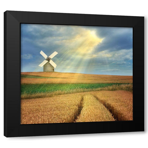 Countryside Black Modern Wood Framed Art Print by Heine, Ben
