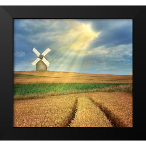 Countryside Black Modern Wood Framed Art Print by Heine, Ben