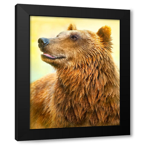 Cute Bear Black Modern Wood Framed Art Print by Heine, Ben