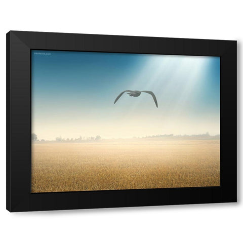 Freedom Start Here Black Modern Wood Framed Art Print by Heine, Ben