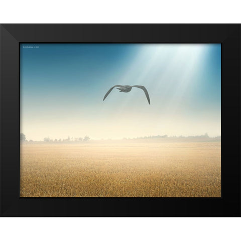 Freedom Start Here Black Modern Wood Framed Art Print by Heine, Ben