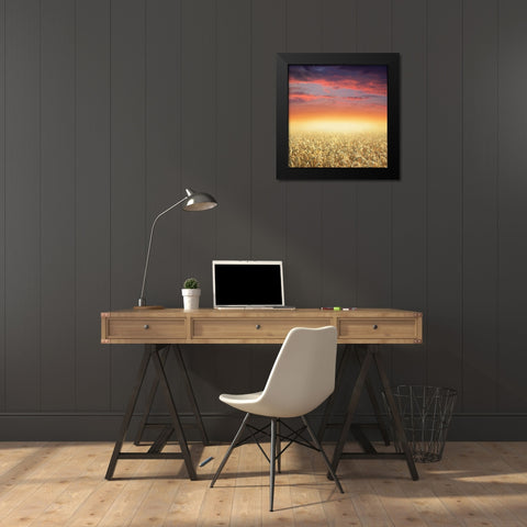 Glowing Black Modern Wood Framed Art Print by Heine, Ben