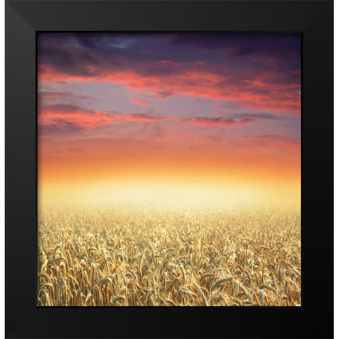 Glowing Black Modern Wood Framed Art Print by Heine, Ben