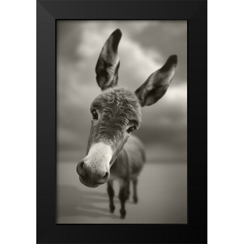 Hey There Black Modern Wood Framed Art Print by Heine, Ben