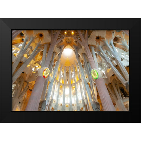 IMG_2418-2 Black Modern Wood Framed Art Print by Heine, Ben
