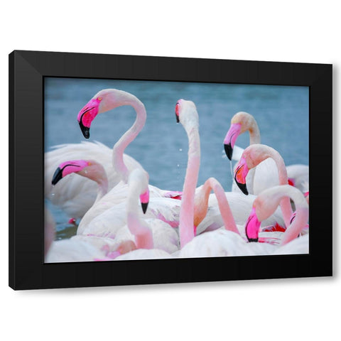 IMG_8897 Black Modern Wood Framed Art Print with Double Matting by Heine, Ben