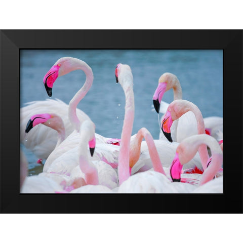 IMG_8897 Black Modern Wood Framed Art Print by Heine, Ben