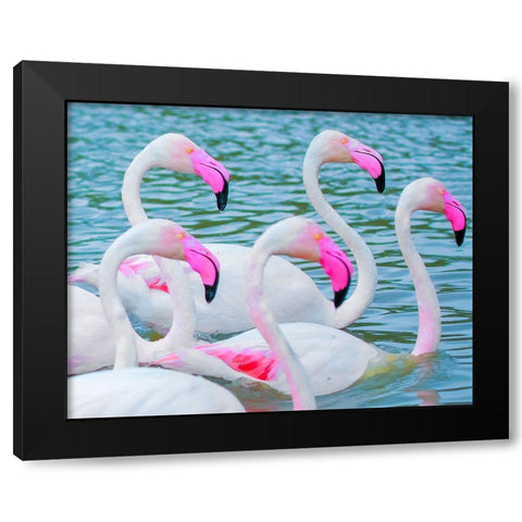 IMG_8905 Black Modern Wood Framed Art Print with Double Matting by Heine, Ben