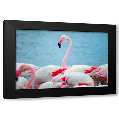 IMG_8978 copy Black Modern Wood Framed Art Print by Heine, Ben