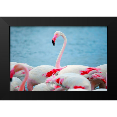 IMG_8978 copy Black Modern Wood Framed Art Print by Heine, Ben