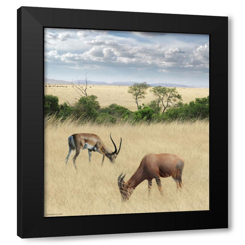 Kenya 2 Black Modern Wood Framed Art Print with Double Matting by Heine, Ben