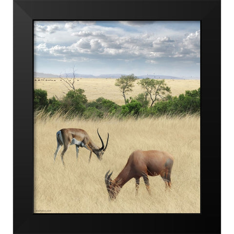 Kenya 2 Black Modern Wood Framed Art Print by Heine, Ben