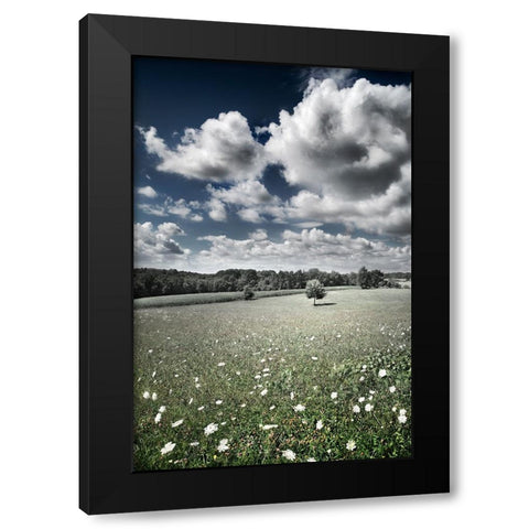 Meadow Black Modern Wood Framed Art Print by Heine, Ben