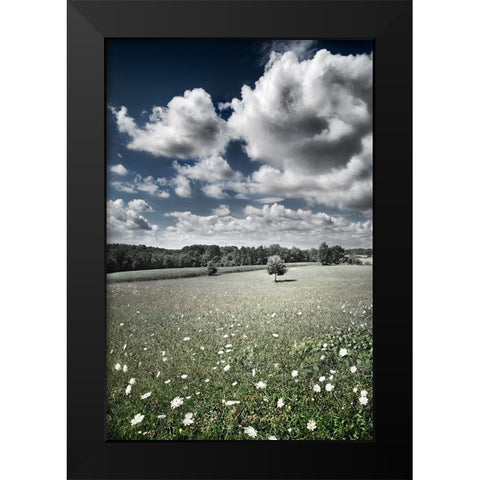 Meadow Black Modern Wood Framed Art Print by Heine, Ben