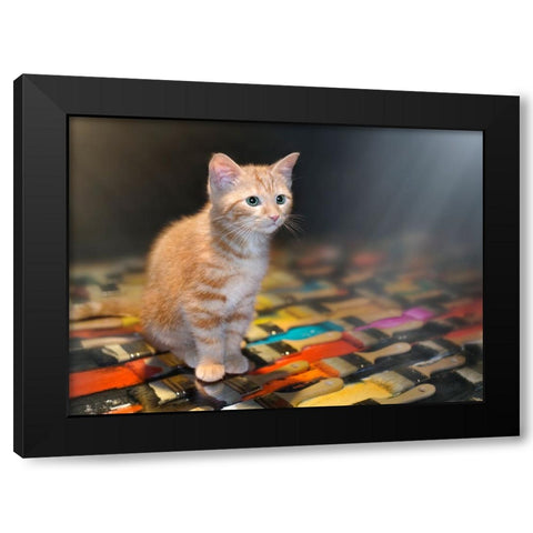 Missing You Black Modern Wood Framed Art Print with Double Matting by Heine, Ben