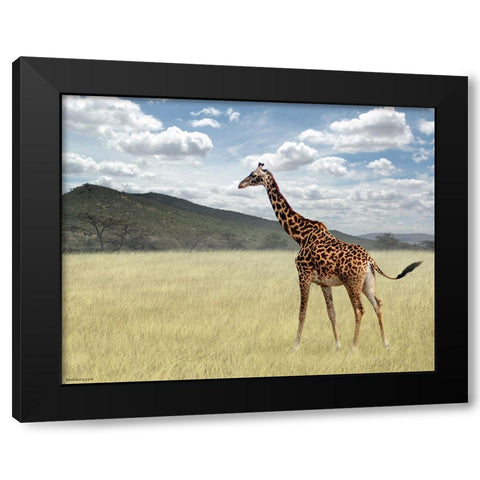 Once Upon a Time in Kenya - 3 Black Modern Wood Framed Art Print with Double Matting by Heine, Ben