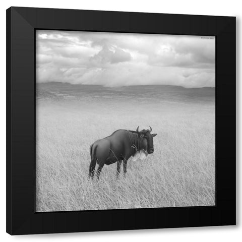 Once Upon a Time in Kenya - 4 Black Modern Wood Framed Art Print with Double Matting by Heine, Ben